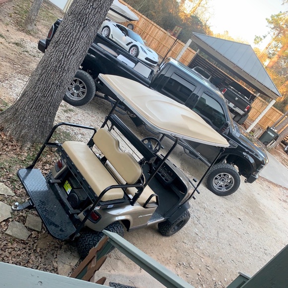 Meet your Posher, Franki - Picture 7 of 10